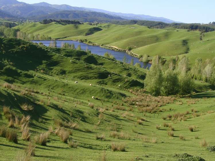 545 Waiwhero Road Ngatimoti_11