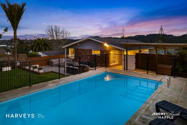 21 Nandana Drive Glen Eden_2