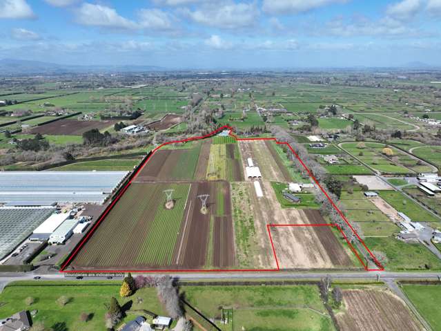 473 Bruntwood Road Tamahere_1