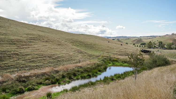 2586 State Highway 2 Maramarua_10