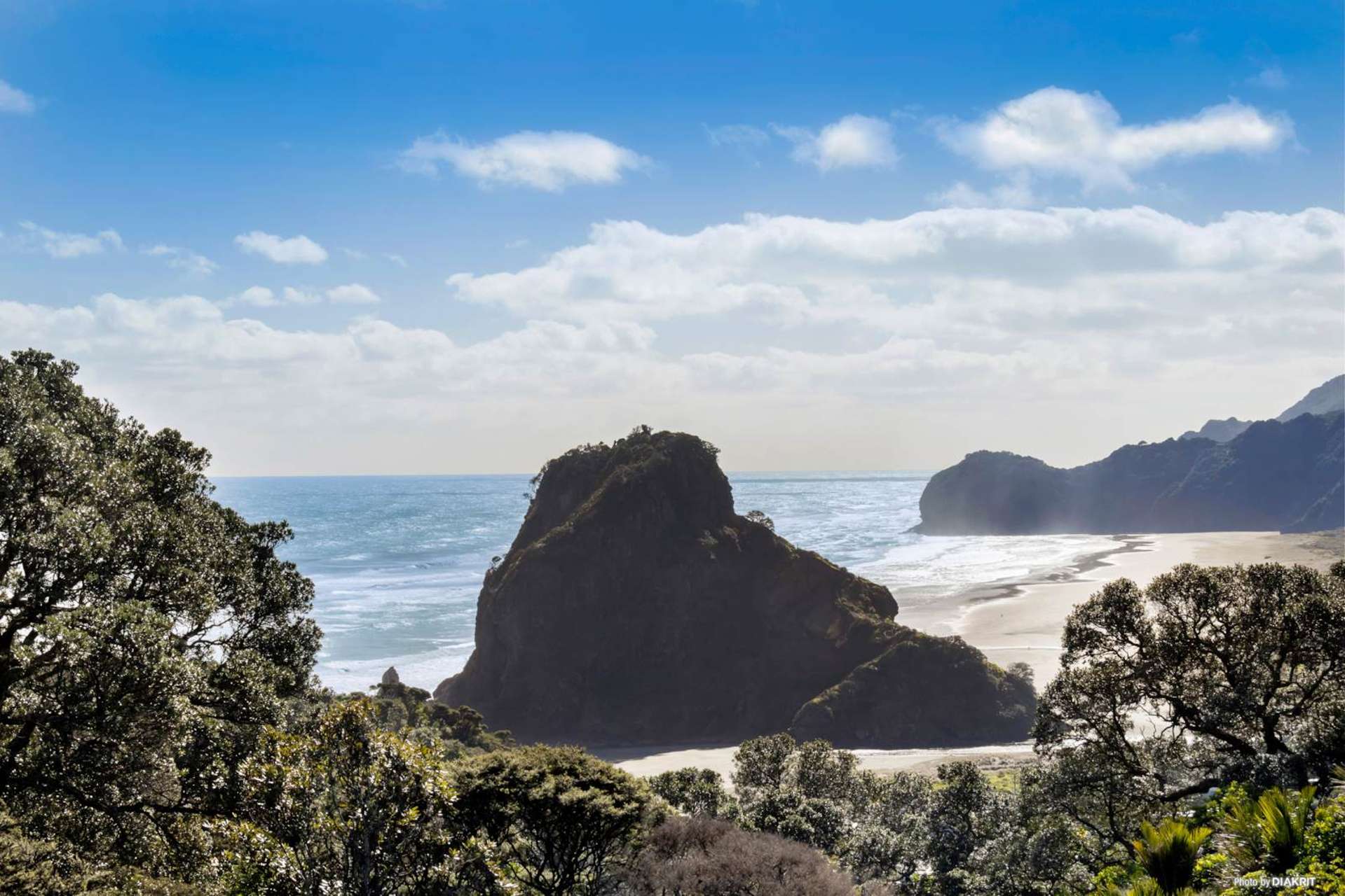74 Rayner Road Piha_0