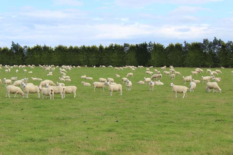 401 Spar Bush School Road Spar Bush_10