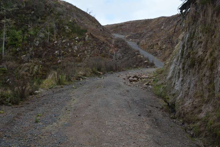 Ongarue Stream Road Waimiha-Ongarue_2