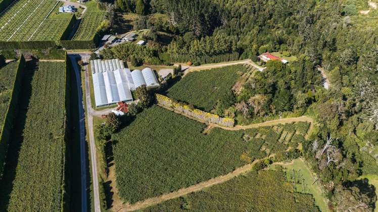 1164 No 3 Road Te Puke_5