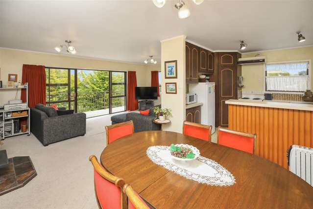 208 Reservoir Road Thames_3