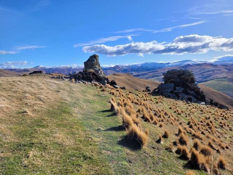 901 Wilden Runs Road West Otago Surrounds_25