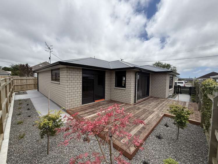 26 Winchester Street Levin_3