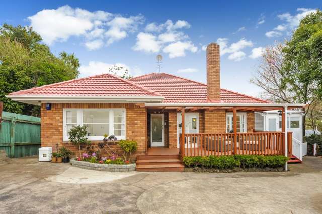 4 Lovelock Avenue Mount Eden_1