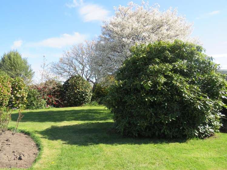 32b Campbell Street Geraldine_6