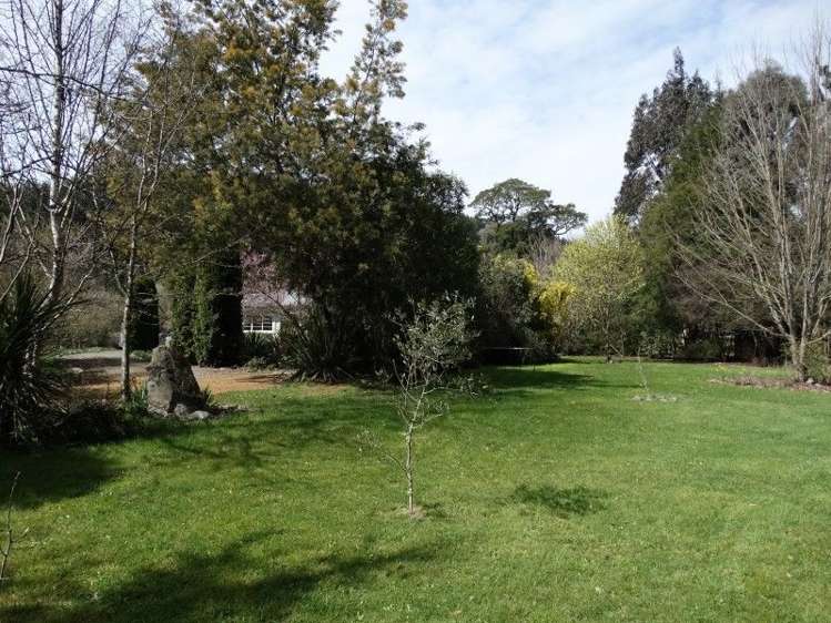 453 Kohatu-Kawatiri Highway Kahurangi National Park_6