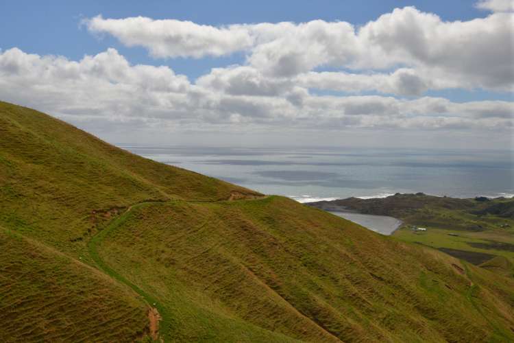 1295 Marokopa Road Marokopa_1