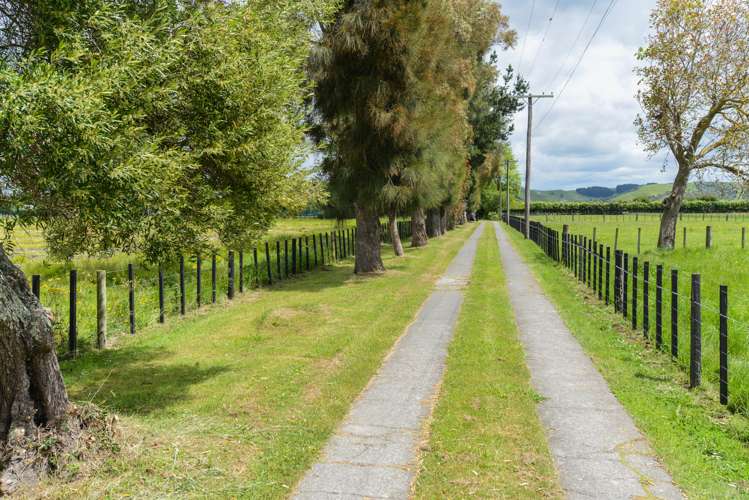 61 Johns Road Jervoistown_21