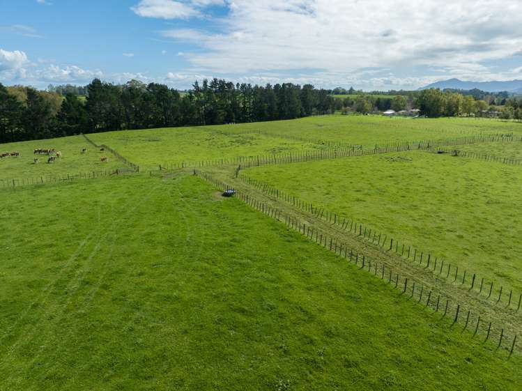 1191 Old Te Aroha Road Okauia_28