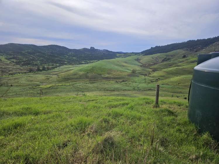 Lot 2/36 Te Moho Road Taipa_20