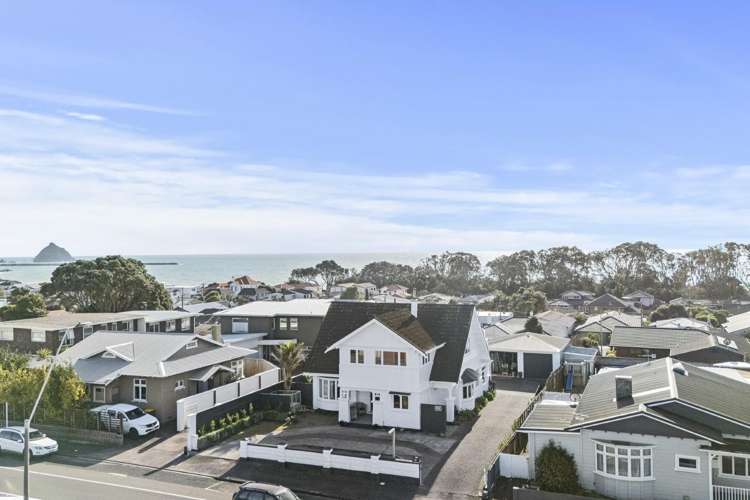 244 St Aubyn Street New Plymouth_30