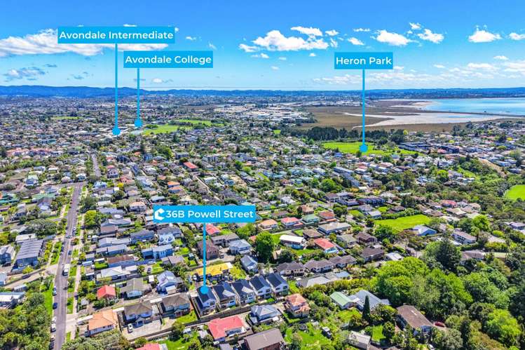 36B Powell Street Avondale_24