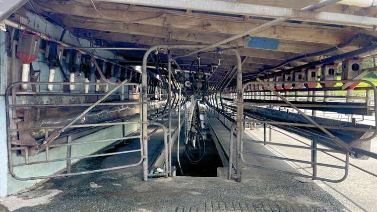 77 Parker Road Wellsford_4