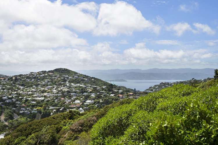 72 Downing Street Crofton Downs_7