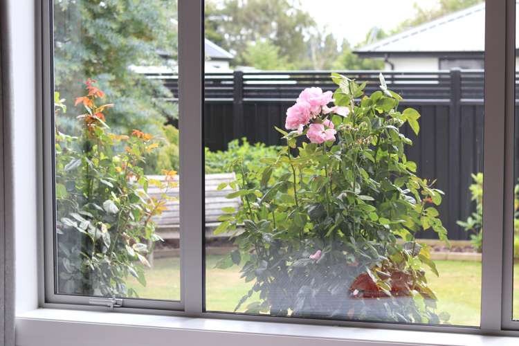 50 Northside Drive Waikiwi_28