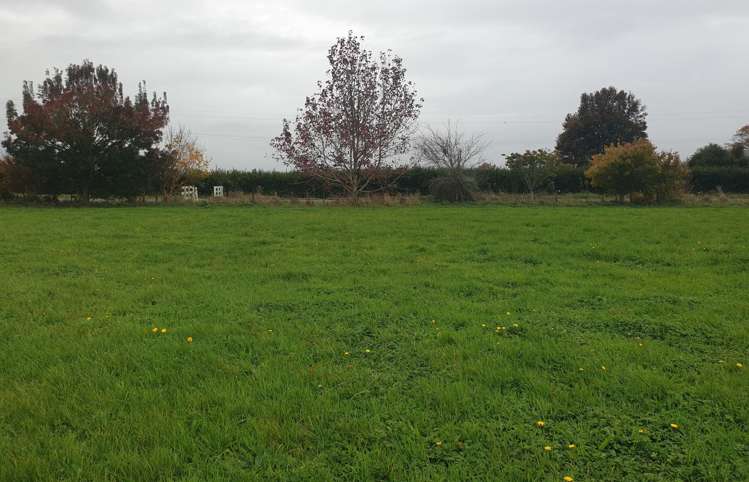 1083 Taniwha Road Waerenga_5