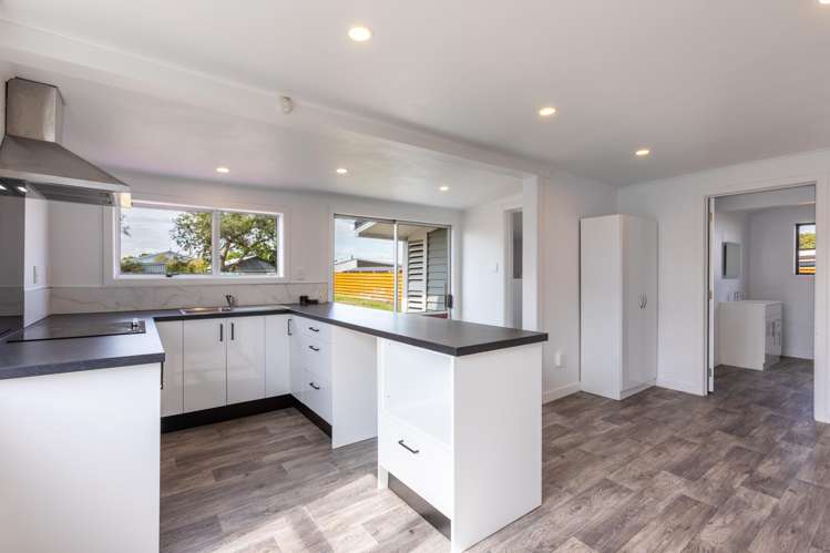 42 Tennyson Street Dannevirke_4