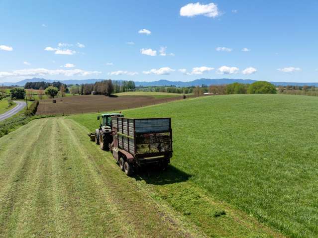 263 Paratu Road, Walton Matamata_3