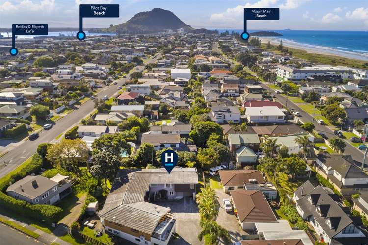 33c Tay Street Mount Maunganui_18