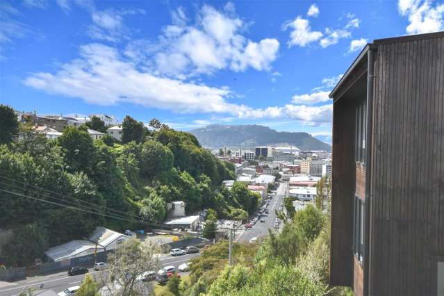 35 Sutherland Street Dunedin Central_1