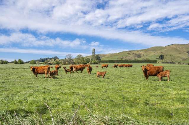 677 Pig Saddle Road Sheffield_4