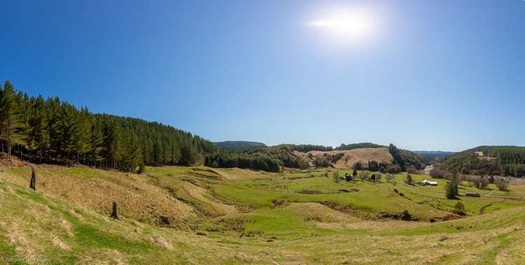 586 Howard Valley Road Kahurangi National Park_5