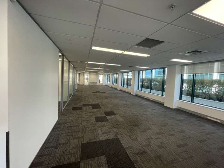 101 Carlton Gore Road Newmarket_5
