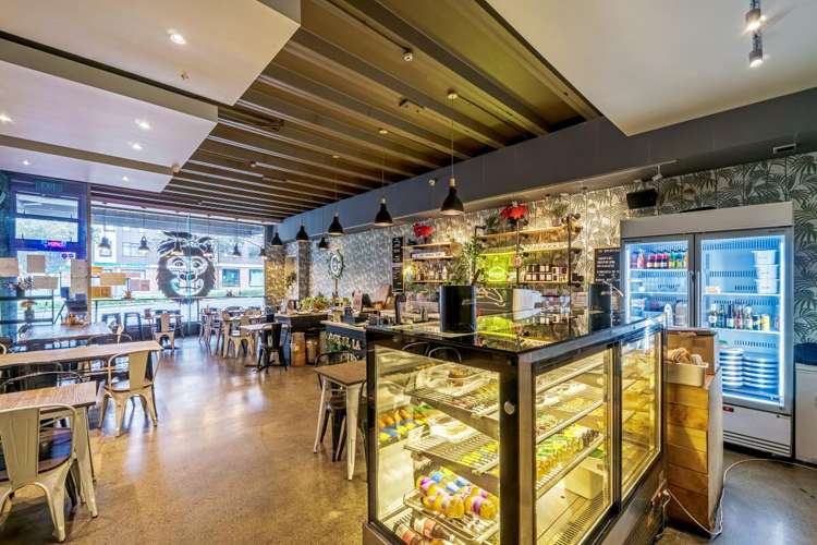 159 Symonds Street Eden Terrace_7