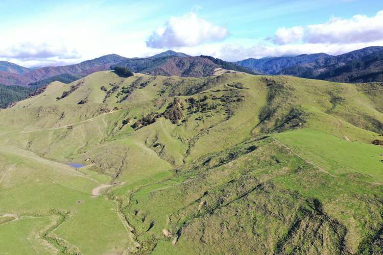 85289 State Highway 2 Eketahuna_15