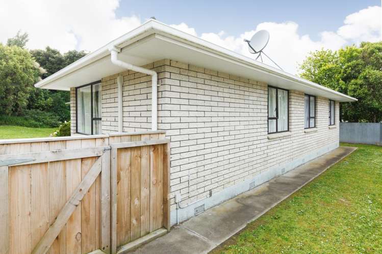 155a Ruahine Street Roslyn_9