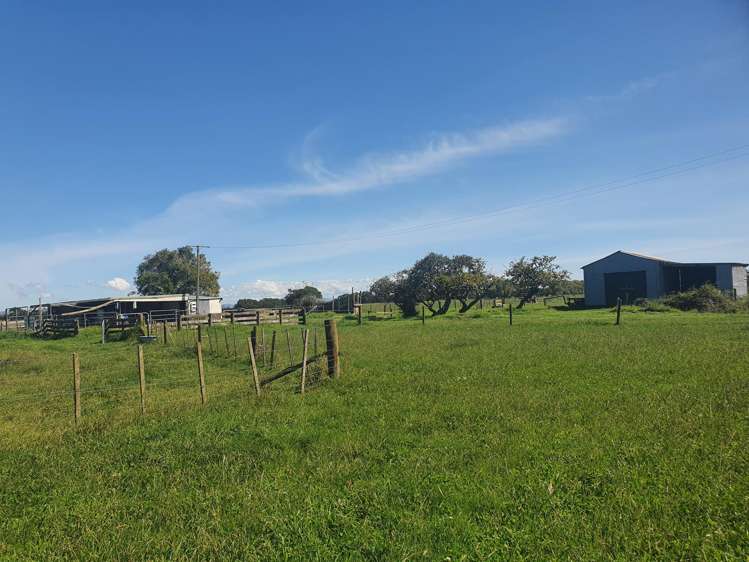 174 Hauraki Road Orongo_15