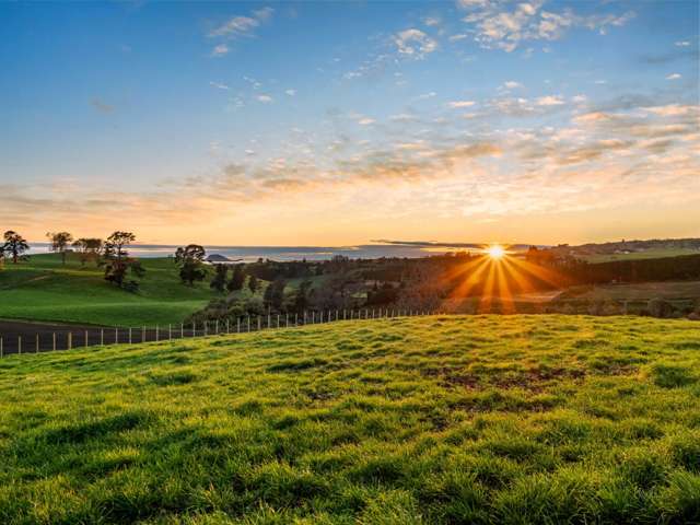Lot Lot 1 Ross Road Whakamarama_1
