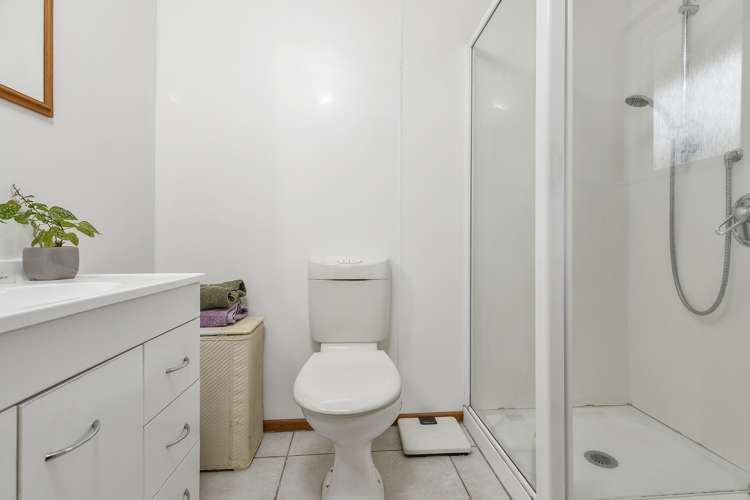 46 Washington Avenue Glendowie_17