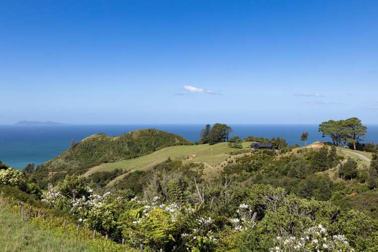 231 Heard Road Waihi_22
