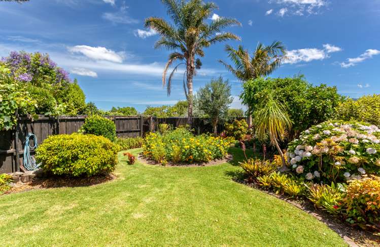 213 Tony Avenue Thames_24