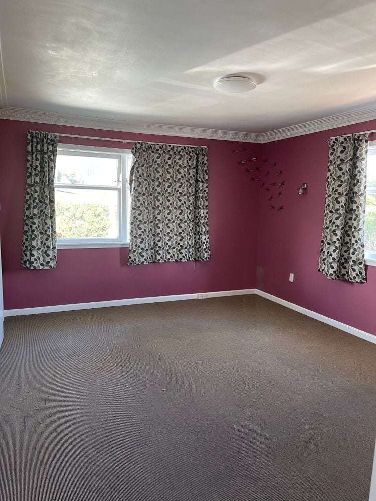 26 Church Crescent Panmure_1