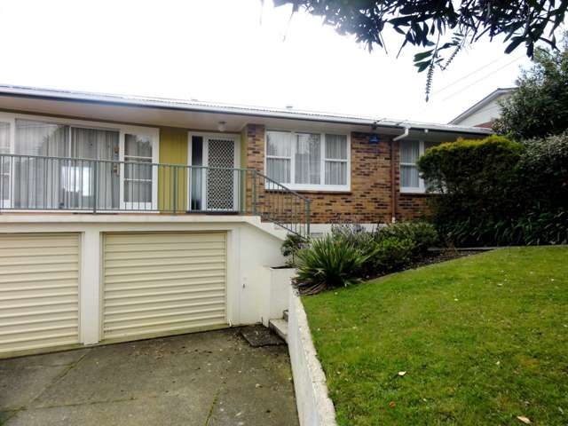 45 Anita Avenue Mount Roskill_4