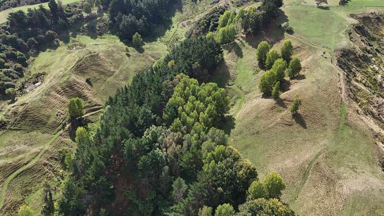 169 Campbell Road Brunswick_38