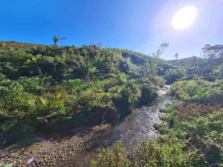 982B Manaia Road Coromandel_20