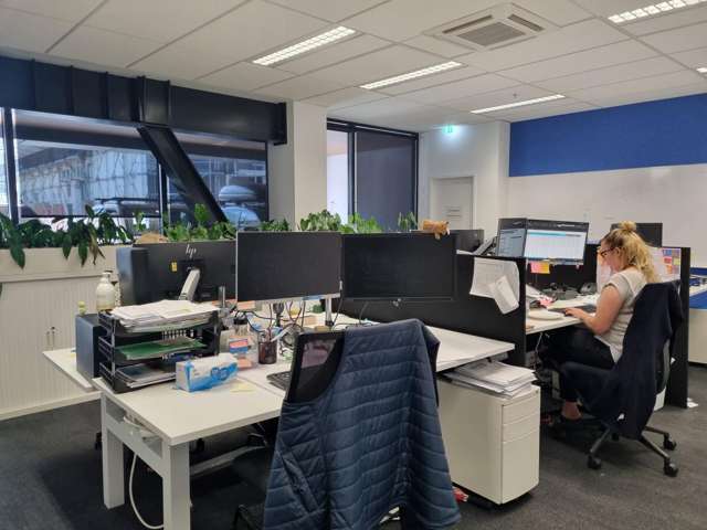 9 Francis Place Te Aro_2