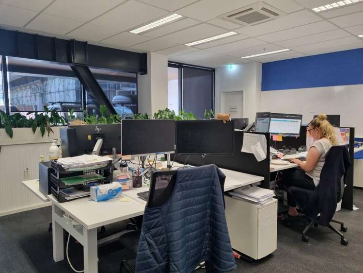 9 Francis Place Te Aro_2