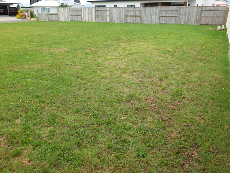 5 Snappers Lane Foxton Beach_11