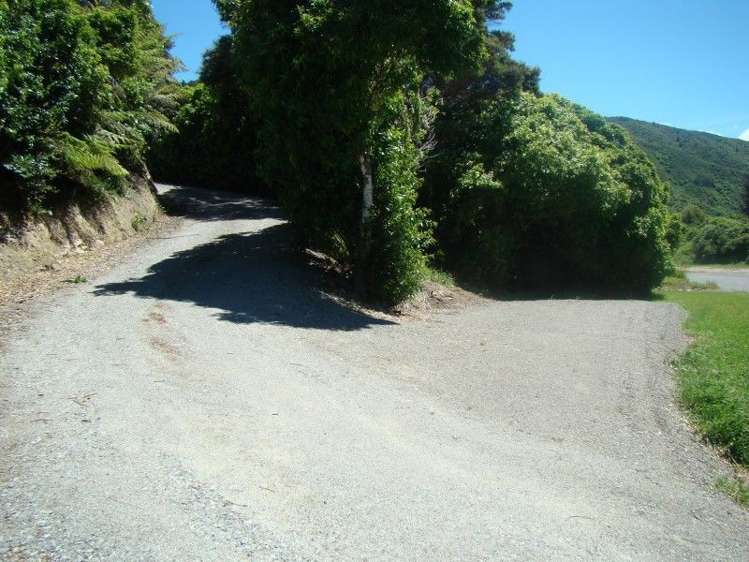 746 Queen Charlotte Drive Havelock_19