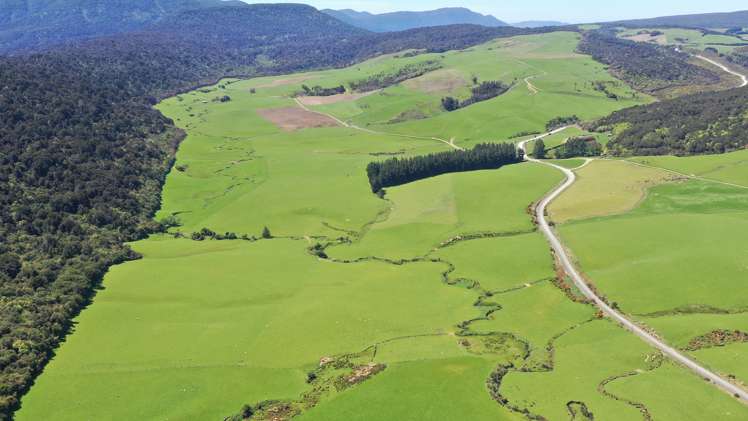 720 Mokoreta Tahakopa Road Catlins Surrounds_15