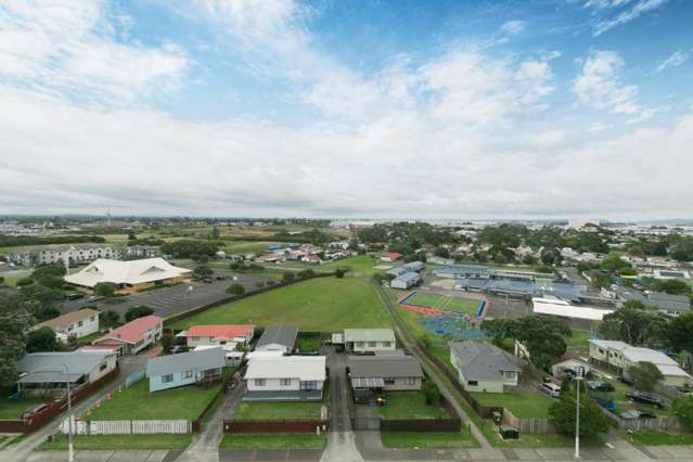 810a/770 Great South Road 1832_1