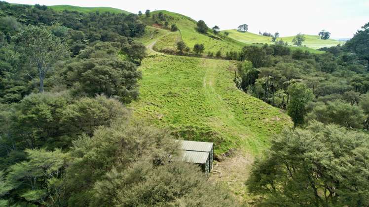 717 Wright Road Aongatete_13